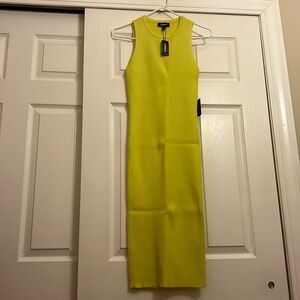 NEW express knit dress